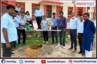 Shatabdi Awasthi Foundation planted saplings in sawai madhopur