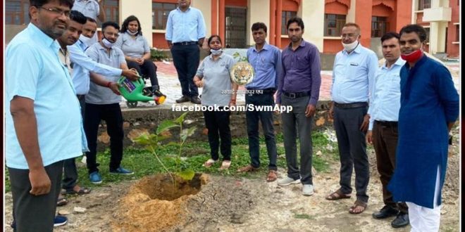 Shatabdi Awasthi Foundation planted saplings in sawai madhopur