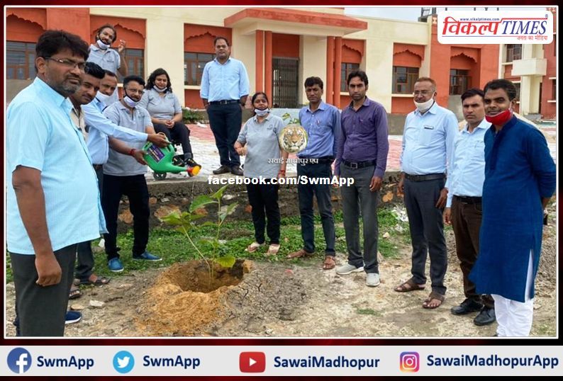Shatabdi Awasthi Foundation planted saplings in sawai madhopur