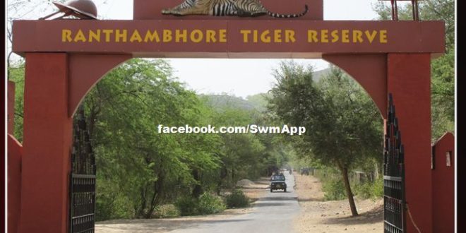 News from Ranthambore National Park, tourism banned till further orders in sawai madhopur