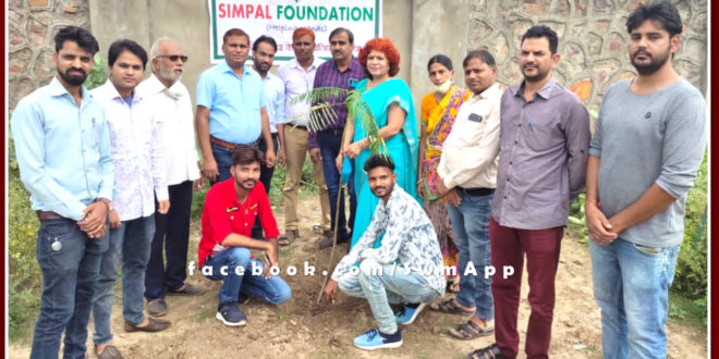 Simple Foundation planted tress in sawai madhopur