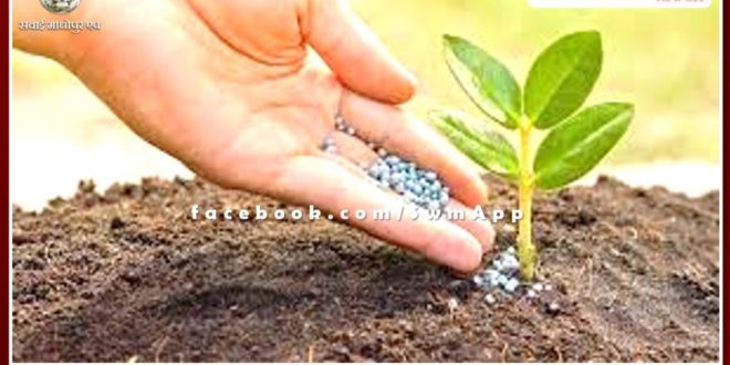 Switch from DAP to SSP, HPK in agriculture