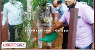 Tree plantation in collectorate sawai madhopur