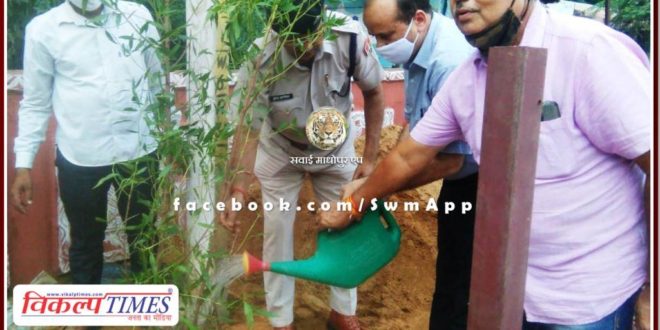 Tree plantation in collectorate sawai madhopur