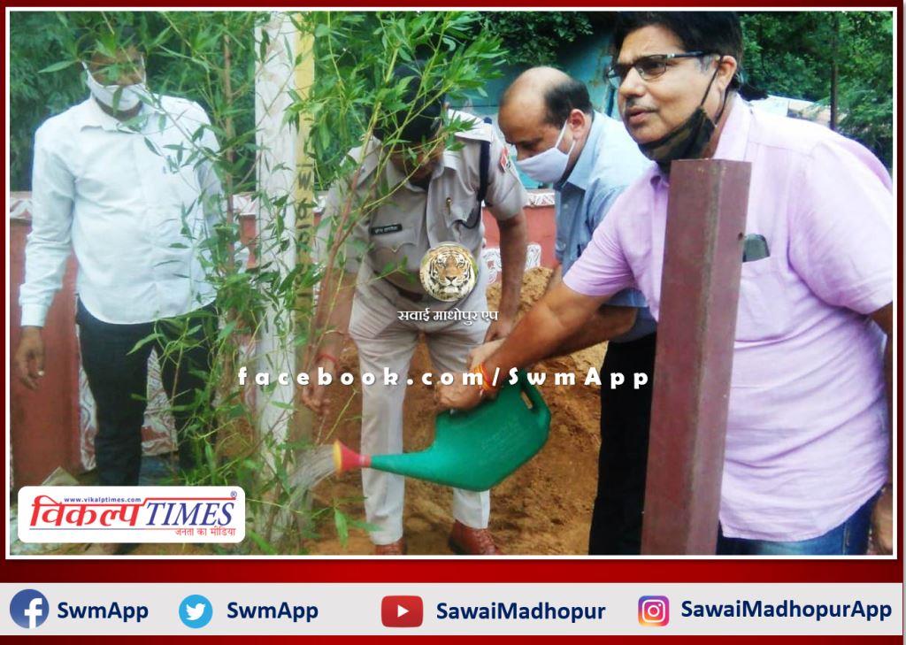 Tree plantation in collectorate sawai madhopur
