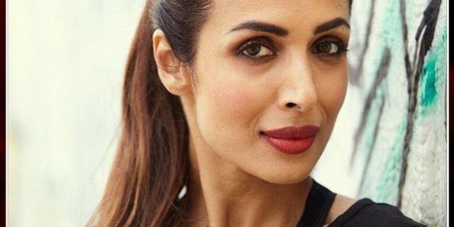 Actress Malaika Arora reached in Ranthambore