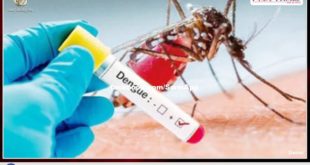 Dengue-free Rajasthan campaign will run till November 3, ban on health workers' holidays in sawai madhopur