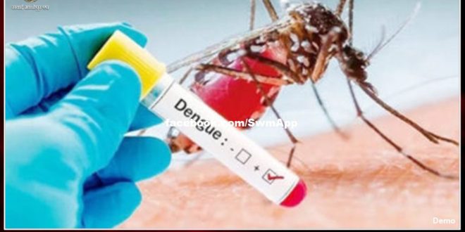 Dengue-free Rajasthan campaign will run till November 3, ban on health workers' holidays in sawai madhopur