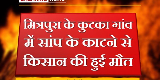 Farmer died due to snake bite in Kutka village of Mitrapura