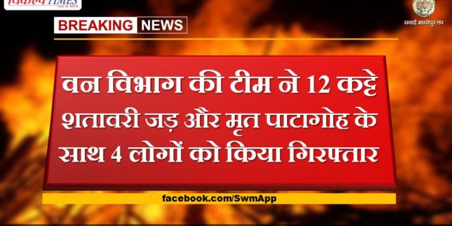 Forest department team arrested 4 people with 12 sacks of asparagus root and dead Patagoh in ranthambore