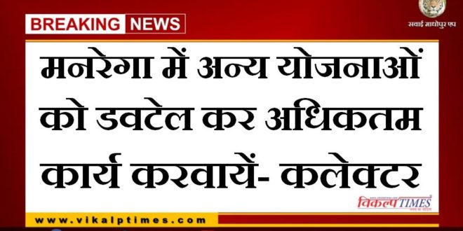 Get maximum work done in MNREGA by doing other schemes- Collector