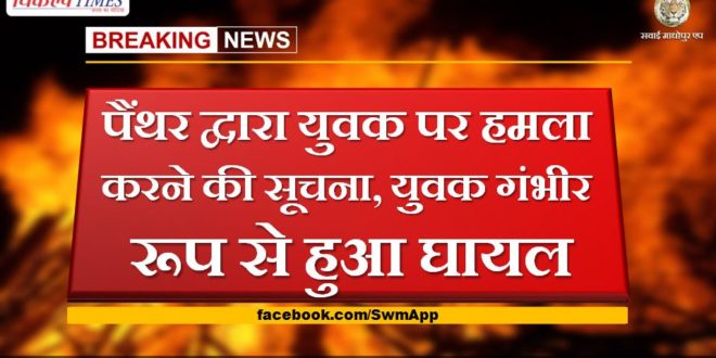 Information about attack on youth by panther, youth seriously injured in gangapur city