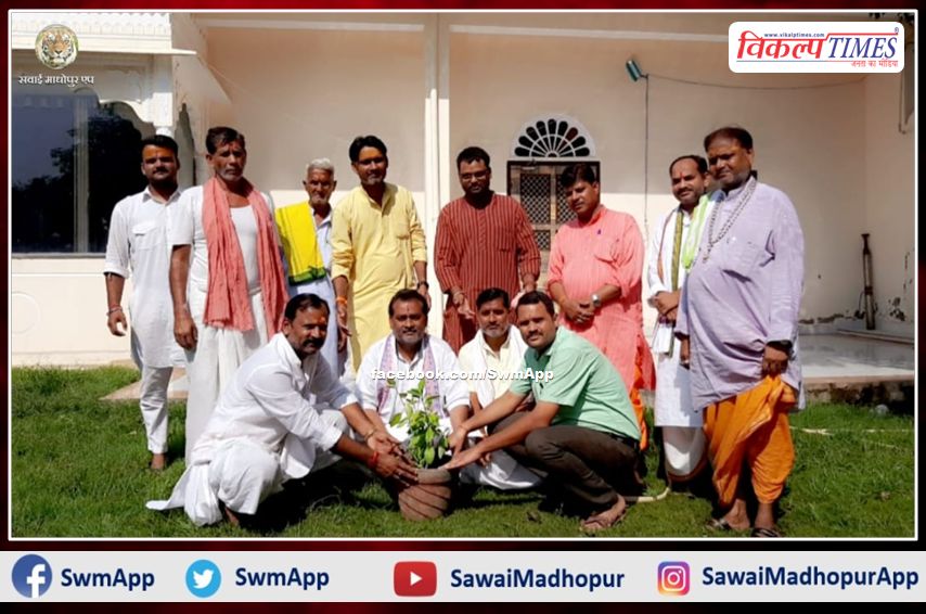 Officials of Gurjar Gaur Brahmin Mahasabha planted saplings of bill letters in sawai madhopur