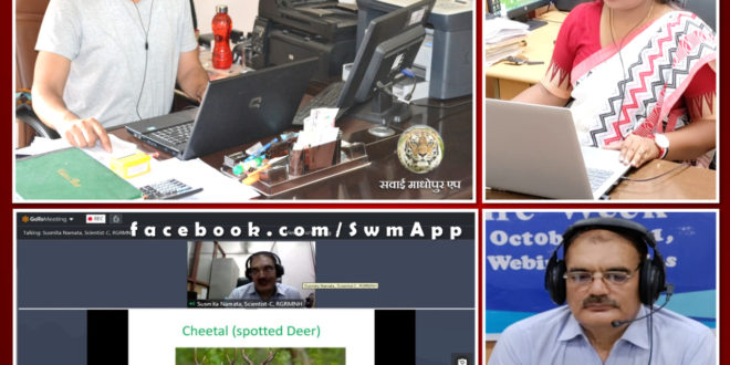 Organized webinar on Wildlife week by Rajiv Gandhi Resgional Museum Ranthambore