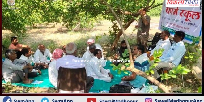Technical information about gram production given to farmers in sawai madhopur