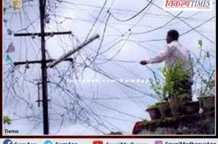 accused of stealing electricity cable arrested in sawai madhopur