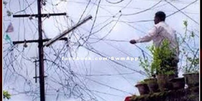 accused of stealing electricity cable arrested in sawai madhopur
