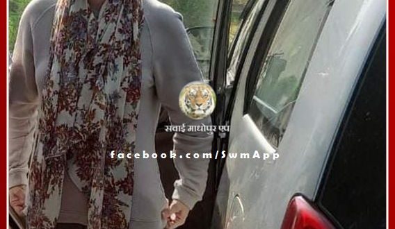 Congress General Secretary Priyanka Gandhi Vadra reached Ranthambore national park to see the tigers