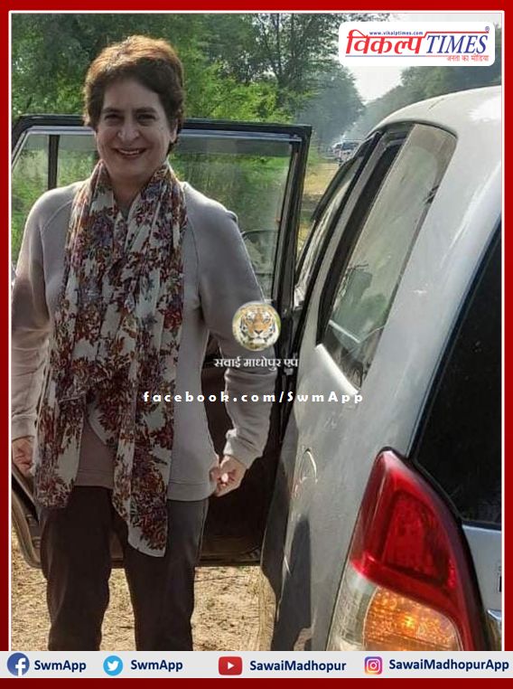 Congress General Secretary Priyanka Gandhi Vadra reached Ranthambore national park to see the tigers