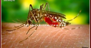 Dengue outbreak is increasing in Bamanwas sawai madhopur