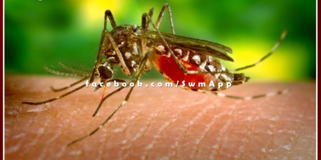 Dengue outbreak is increasing in Bamanwas sawai madhopur