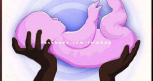 Fetus found in general hospital premises sawai madhopur, sensation spread