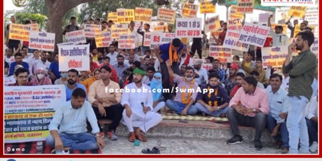 High Court considered only BSTC candidates eligible, B.Ed candidates out of REET level-1