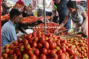 Inflation hit - Tomato prices are touching the sky