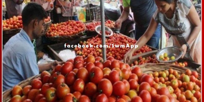 Inflation hit - Tomato prices are touching the sky