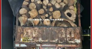 Police action against timber smugglers in dungarpur, 2 trucks full of timber seized