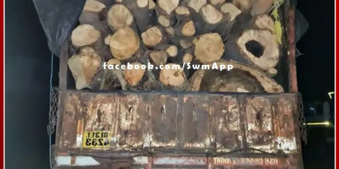 Police action against timber smugglers in dungarpur, 2 trucks full of timber seized