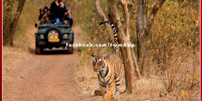 Tourism resumes in Zone 1 of Ranthambore National Park