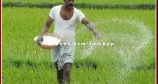 Sawai Madhopur news Farmers can get insurance of Rabi crops till December 31