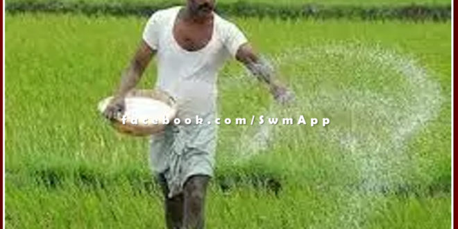 Sawai Madhopur news Farmers can get insurance of Rabi crops till December 31