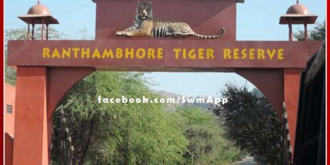 Sensation spread after getting fake boarding pass for Tiger Safari in Ranthambore National Park