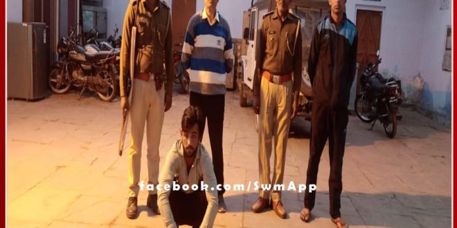 bonli police station arrested the accused of buffalo theft, recovered 2 buffaloes