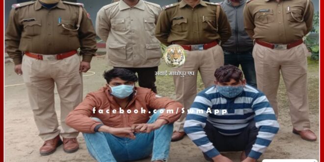 1 arrested with illegal live cartridges in sawai madhopur