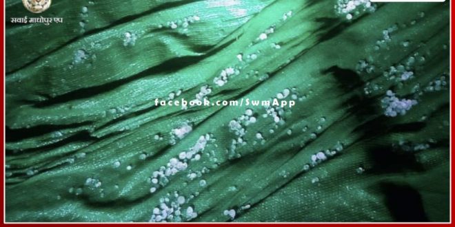 Hail in Malarna Dungar subdivision area increased the problems of the sons of the earth