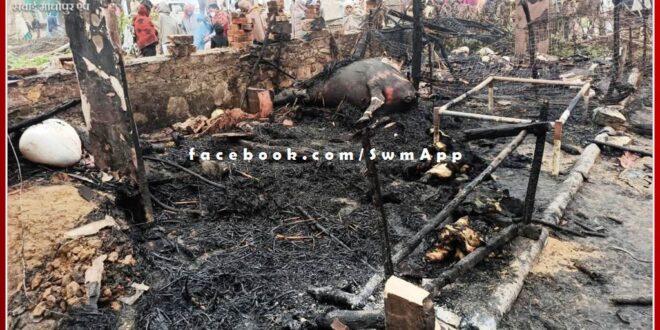 Hundred goats and buffaloes died due to fire in house in bamanwas