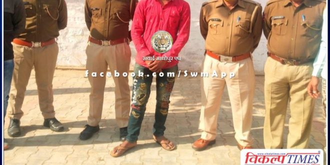 Police arrested Vicious thief with country pistols and live cartridges in khandar sawai madhopur