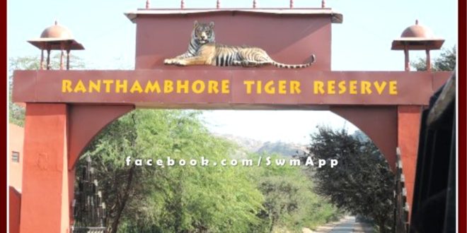 Ranthambore National Park will be closed for tourists on Sunday due to Corona in sawai madhopur