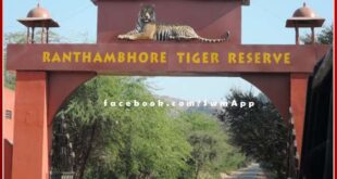 Ranthambore National Park will now open on Sunday also in sawai madhopur