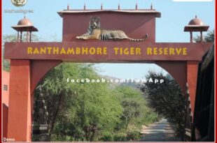Ranthambore National Park will now open on Sunday also in sawai madhopur