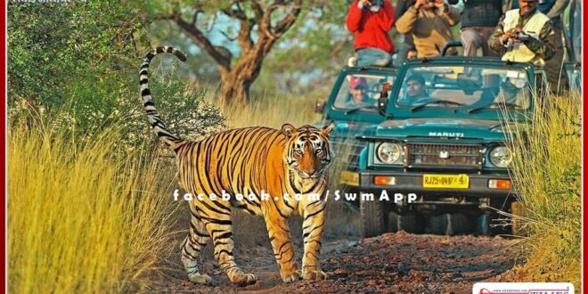 Zone One of Ranthambore reopened, it was closed due to attack of tigress Sultana