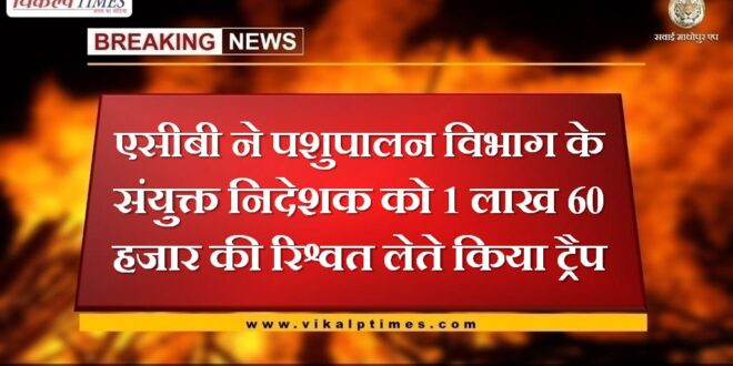 ACB traps Joint Director of Animal Husbandry Department taking bribe of 1 lakh 60 thousand in rajasthan