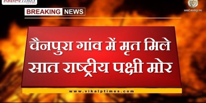 Seven national birds peacock found dead at Chainpura village of Chauth ka barwara in sawai madhopur