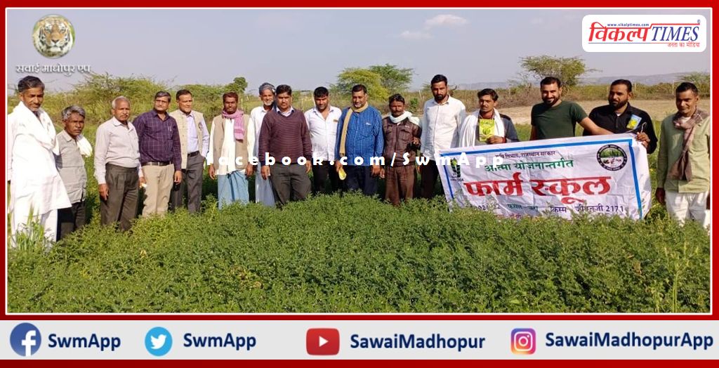 Technical information about gram production given to farmers in sawai madhopur