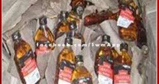 50 cartoons of illegal desi liquor loaded in Bolero car recovered, two arrested in gangapur city