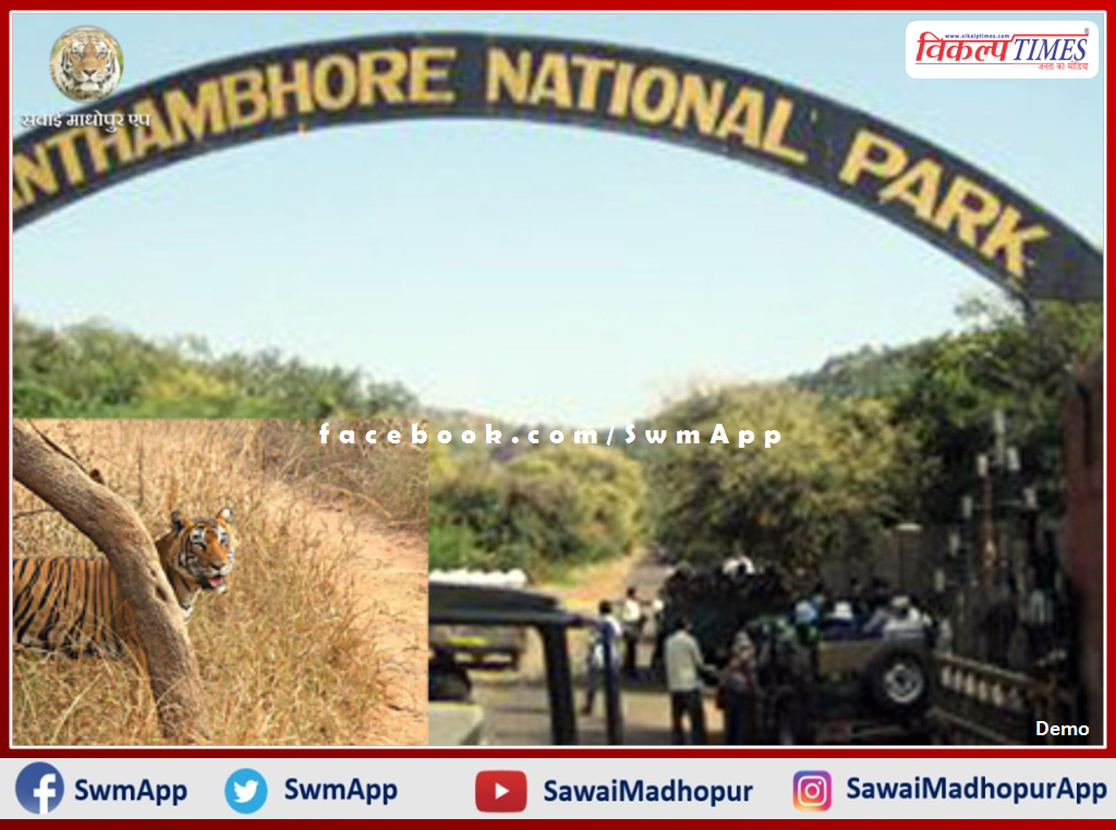 Concern expressed over tigers disappearing in Ranthambore