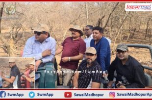 Cricketer Yusuf Pathan visited Ranthambore National Park in sawai madhopur